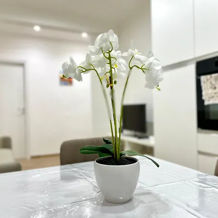 Best Rome Apartment Exterior photo