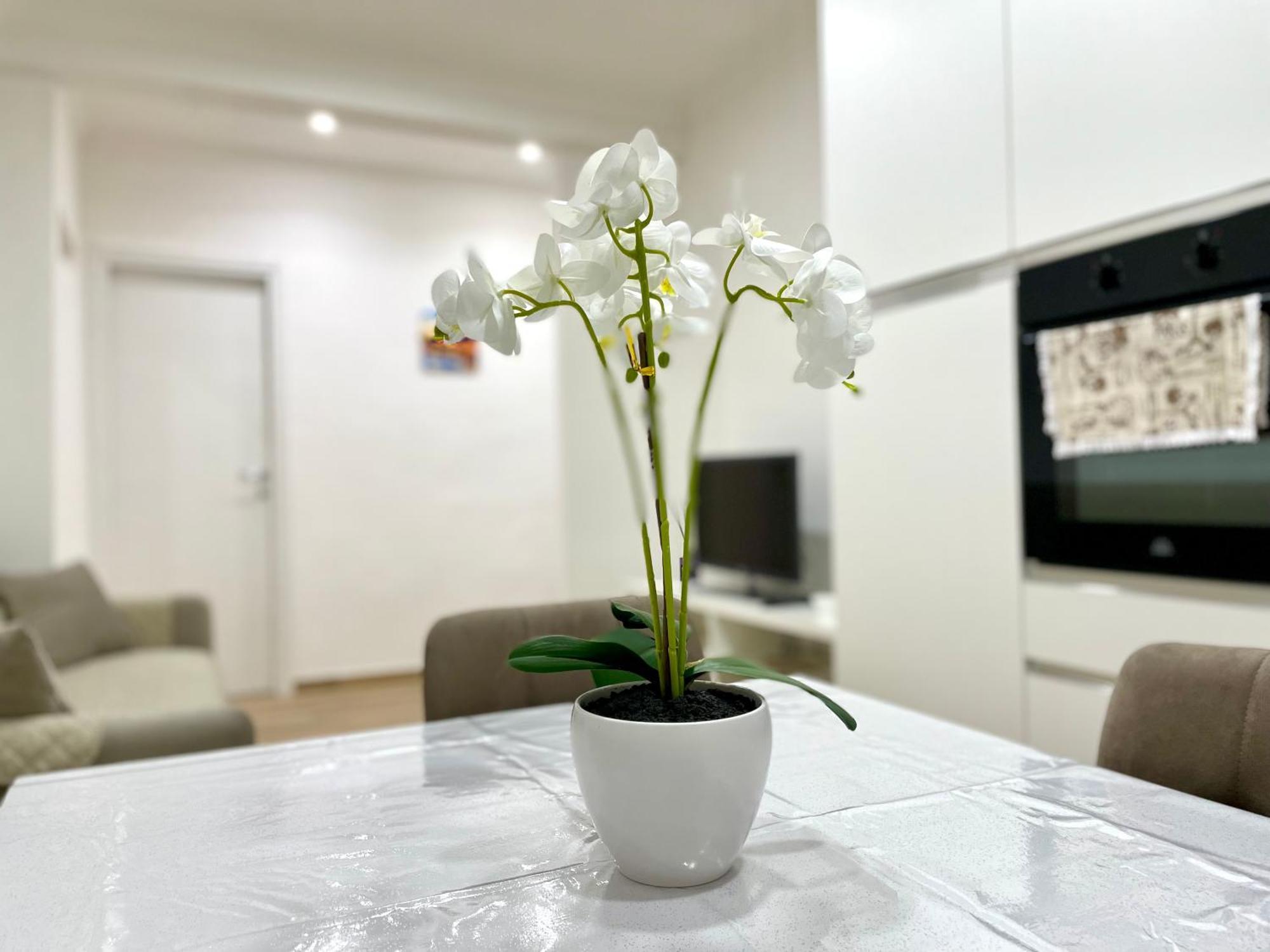 Best Rome Apartment Appartement *